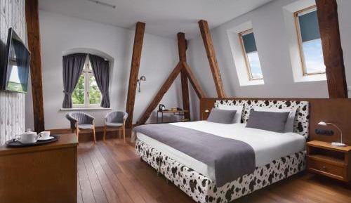 Deluxe Double Room - Palace