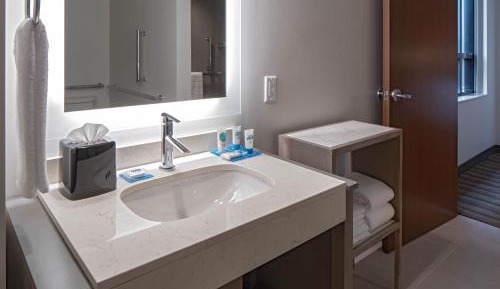 King Studio Suite with Kitchen and Roll-In Shower - Disability Access