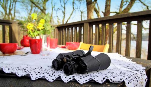 Sloy Cabin (2 bedrooms) – Wood fired hot tub (extra charge) and free Wi-Fi 