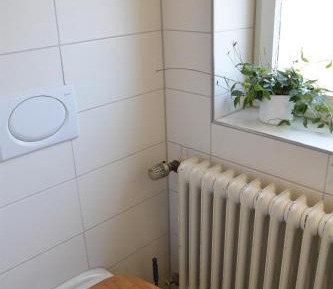 Single Bed in Mixed Dormitory Room