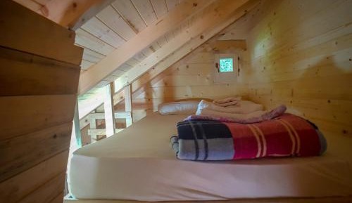 Budget Single Room