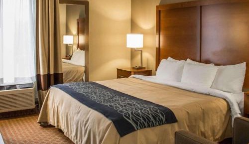 King Room with Roll-In Shower - Accessible/Non-Smoking