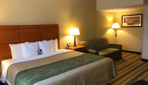 Deluxe King Room with Sofa Bed - Non-Smoking