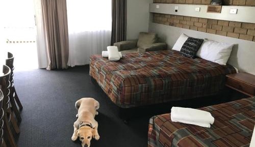 Standard Twin Room with Mountain View - Pet Friendly 