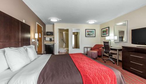 Standard Room, 1 King Bed, Non Smoking