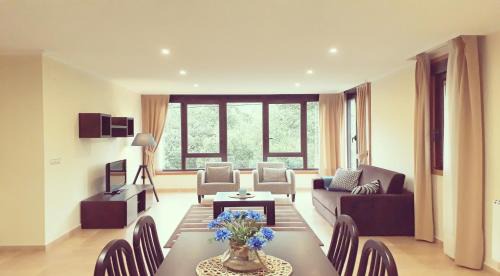 Apartment with Mountain View