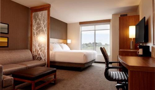 Standard King Room with Sofa Bed