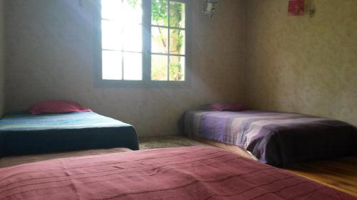 Mixed Dormitory Room