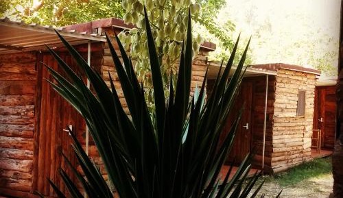 Standard Bungalow