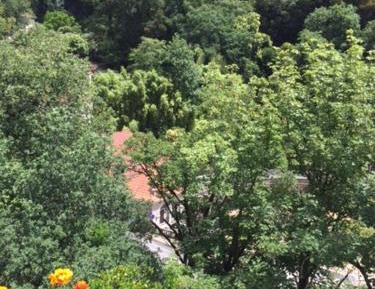 Double Room with Sofa Bed