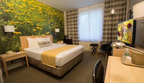 Deluxe Queen Room