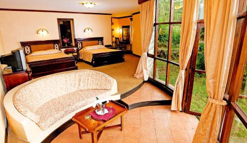 Deluxe Double or Twin Room