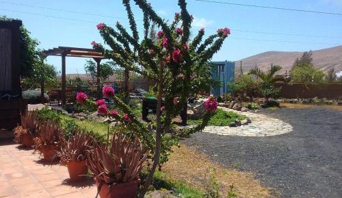 One Bedroom Apartment