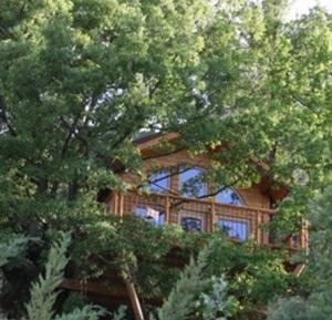 Superior Tree House with Hot Tub