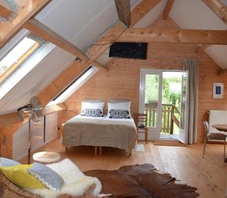 Deluxe Double or Twin Room