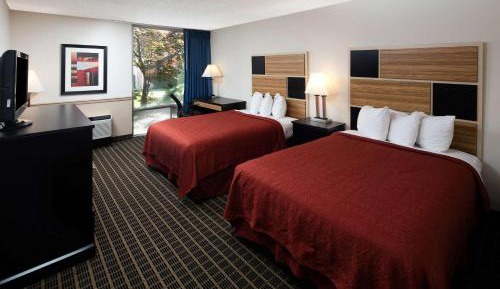 Double Room with Two Double Beds