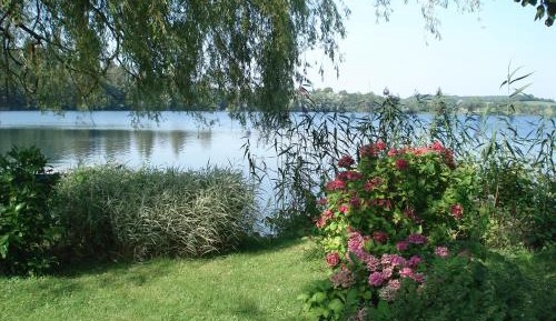 Apartment with Lake View