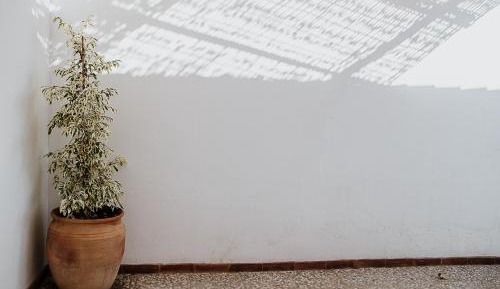 Bungalow with Garden View