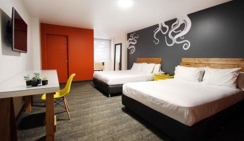 Executive Double Room