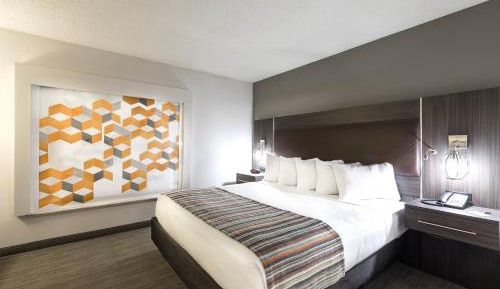 One-Bedroom King Suite
