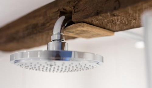 Family Room with Shower