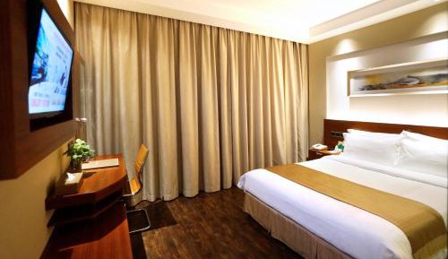 Comfort Single Room