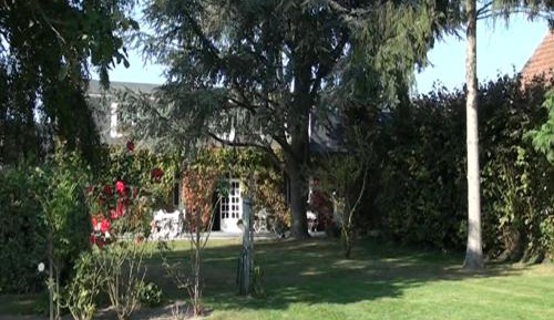 Studio (4 Adults)