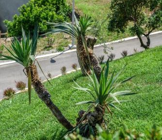 Comfort Two-Bedroom Apartment with Balcony