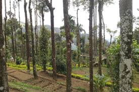Pallivasal House | Stone cottage room in Munnar