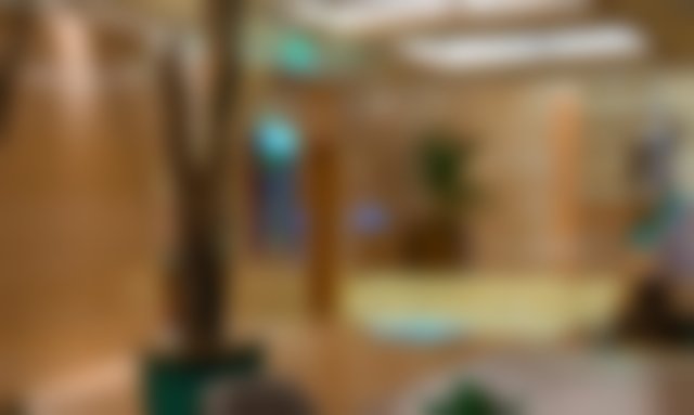 Bayview Cabin | Celt's Lodge