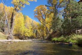 Nathrop House | Rippling Waters- 4 bedroom with hot tub on Chalk Creek