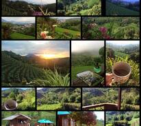 Tomohon Cabin | Bloomie Homestay - Rurukan Tomohon North Sulawesi