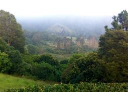 Maleny Cabin | Hillview Cottage. Relax with the view.