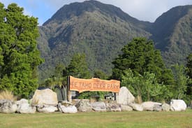 Whataroa Bed & Breakfast | Te Taho Deer Park