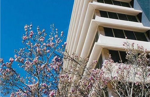 Phillip Hotel | Abode Woden