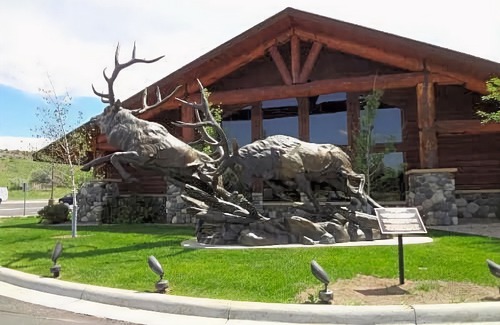 Cody Hotel | AmericInn by Wyndham Cody