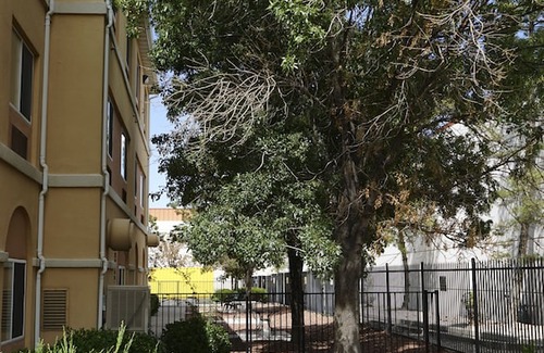 Victory Hills Hotel | Days Inn & Suites by Wyndham Airport Albuquerque