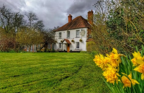 Penwood Hotel | The Furze Bush Inn