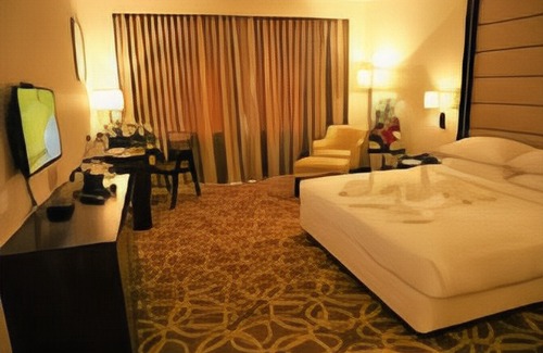 Krishnarajapura Hotel | Y N Hotels