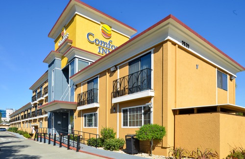 Castro Valley Hotel | Comfort Inn Castro Valley