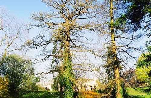 Hillside Hotel | Wimbledon Holiday Lets