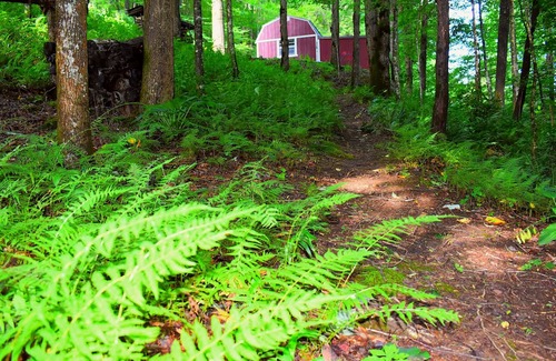 Robbinsville Hotel | The Owl's Perch