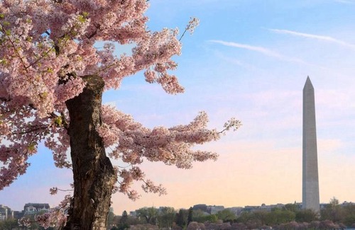 Potomac Falls Hotel | Hyatt Place Sterling Dulles Airport North