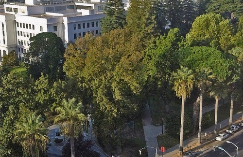 Downtown Sacramento Hotel | Hyatt Regency Sacramento