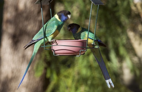 East Side Hotel | Kathys Place Bed and Breakfast