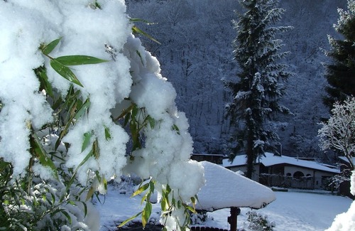 Volkesfeld Hotel | Hotel Forsthaus