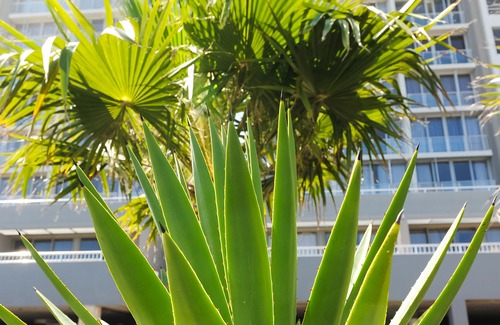 Bloubergstrand Hotel | Infinity Self-Catering Apartments