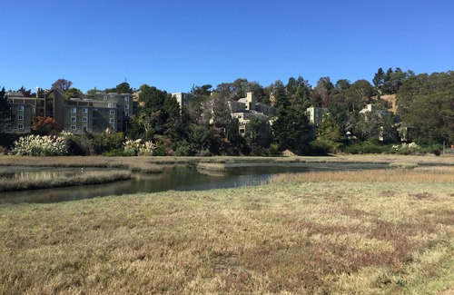 Mill Valley Hotel | Travelodge by Wyndham Mill Valley/Sausalito