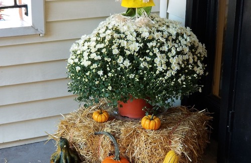 Phoenixville Hotel | Mainstay Inn