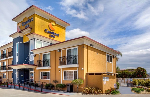 Castro Valley Hotel | Comfort Inn Castro Valley
